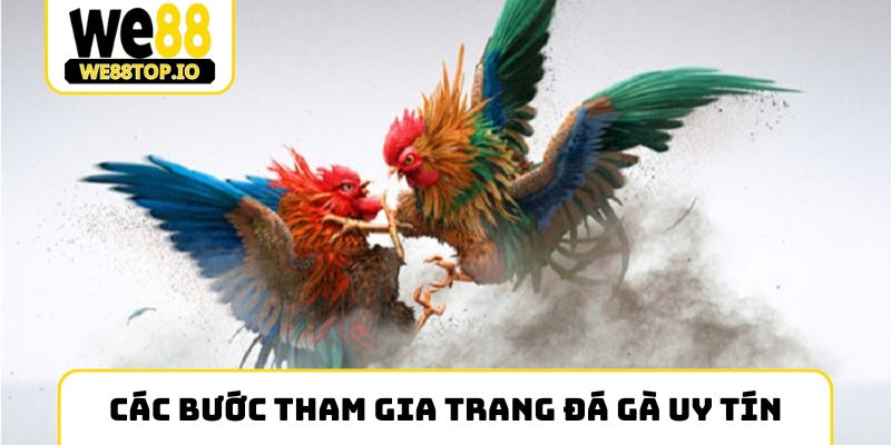 Các bước tham gia trang đá gà uy tín
