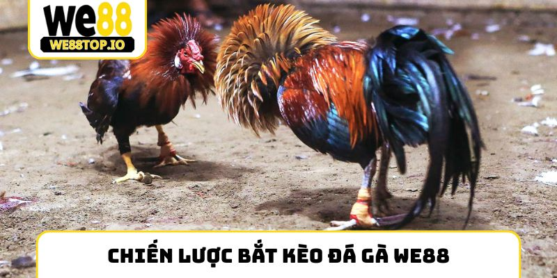 Chiến lược bắt kèo đá gà We88