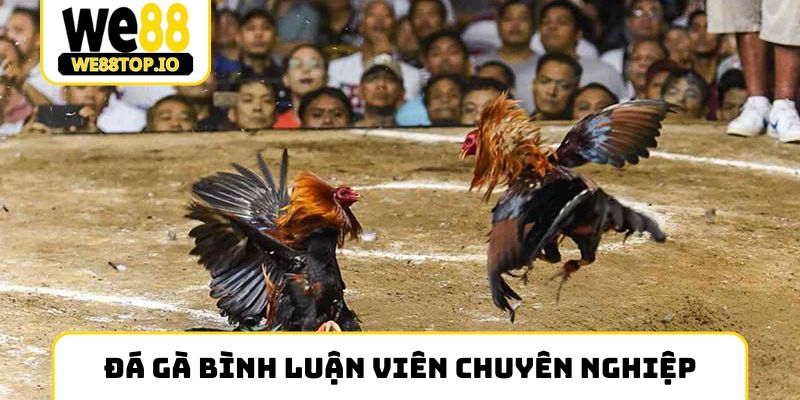 Đá gà bình luận viên chuyên nghiệp