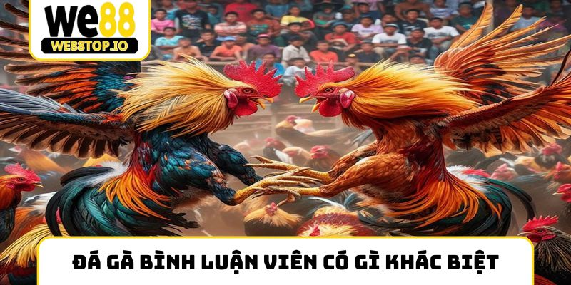 Đá gà bình luận viên có gì khác biệt
