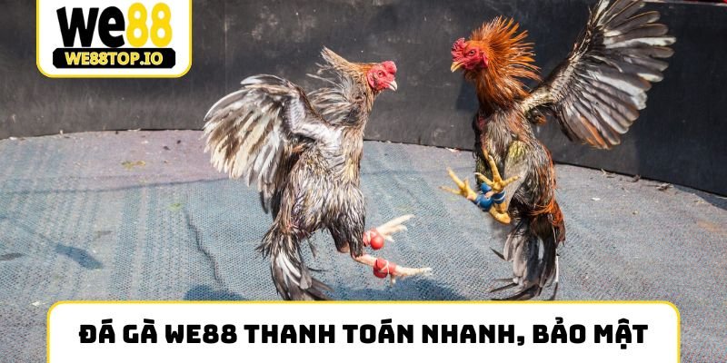 Đá gà We88 thanh toán nhanh, bảo mật