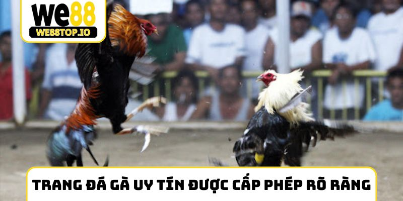 Trang đá gà uy tín phải được cấp phép rõ ràng