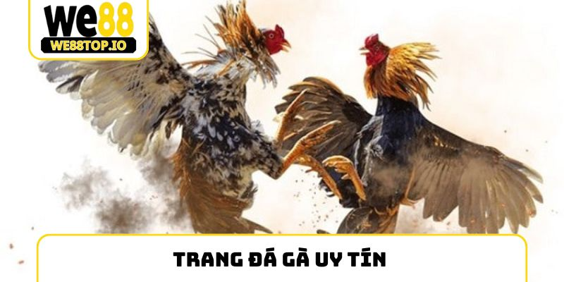 trang đá gà uy tín